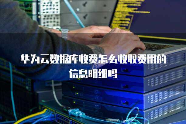 大數(shù)據(jù)服務(wù)收費明細解析 數(shù)據(jù)處理與存儲支持